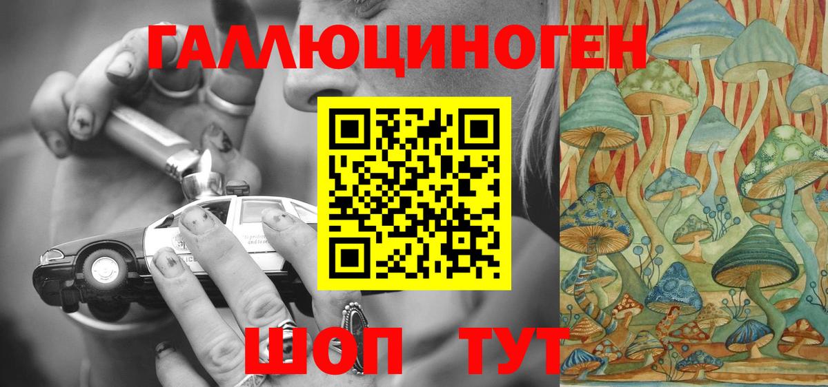 Галлюциногенные грибы GOLDEN TEACHER Гусь-Хрустальный