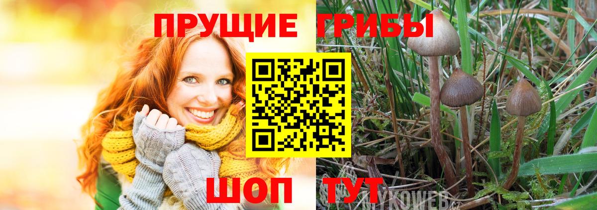 Галлюциногенные грибы MAGIC MUSHROOMS  Вход с VPN  Гусь-Хрустальный  Псилоцибиновые грибы мицелий 